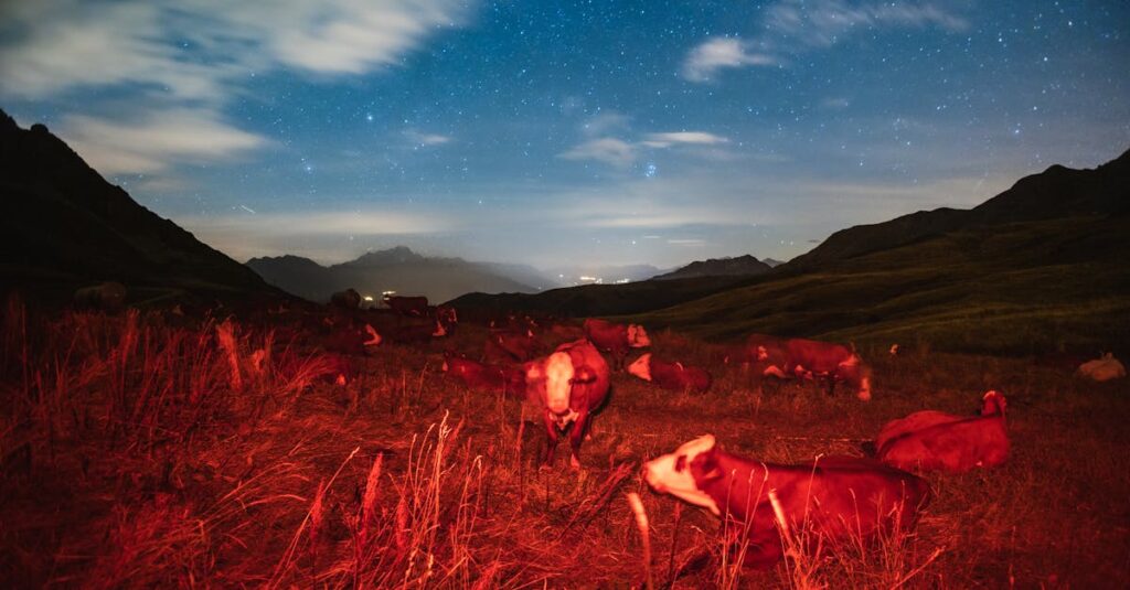 découvrez le berger blanc suisse, un chien élégant, intelligent et affectueux, idéal pour les familles. apprenez-en plus sur ses caractéristiques, son tempérament et ses besoins pour bien l’accueillir chez vous.