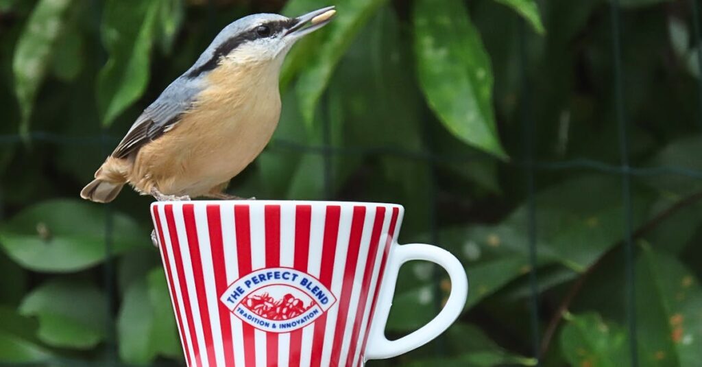 trouvez un service de dog-sitting de confiance près de chez vous ! offrez à votre chien une garde attentionnée et professionnelle lors de vos absences. réservez en toute sérénité.